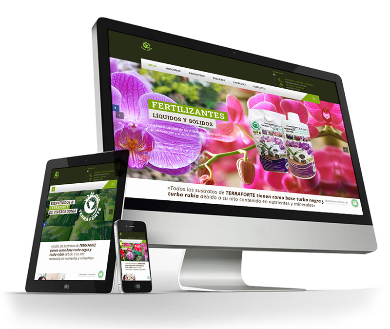 servicio-diseno-web